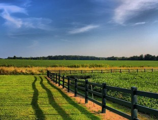 Ипотека на земельный участок, находящийся в аренде