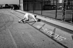 Проектирование земельного участка