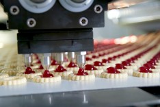 Проектируем здания и сооружения заводов по производству кондитерских изделий