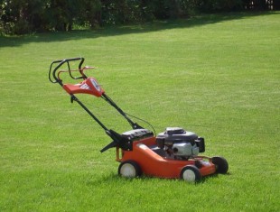 Земельный участок в собственность