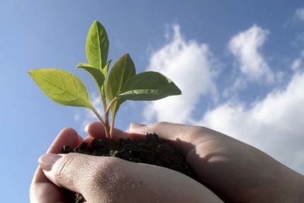 Новые пути повышения энергоэффективности быстровозводимых зданий