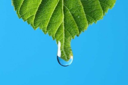 Инновационные технологии в области производства ЛМК