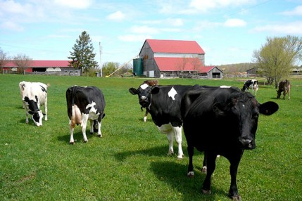 Аренда муниципального земельного участка