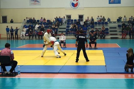 VII Турнир Чемпионата Сибирского федерального округа по рукопашному бою